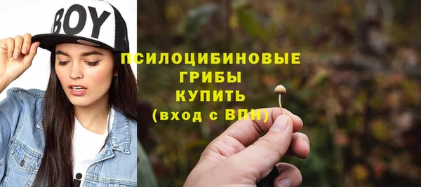 амф Алексеевка