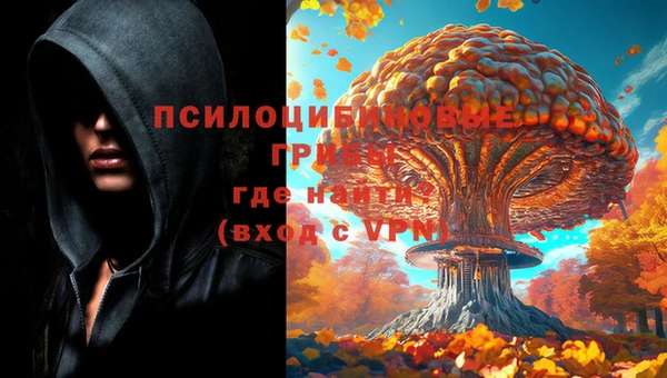 амф Алексеевка